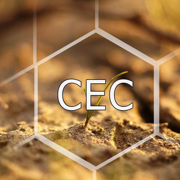 Badanie pojemności sorpcyjnej (CEC) gleby