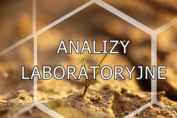 Analizy laboratoryjne kategoria